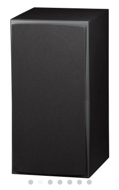 InRoom Gold Monitor (painted finish)