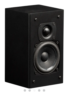 InRoom Mini Sat (painted finish)