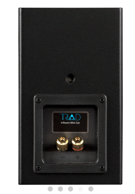 InRoom Mini Sat (painted finish)