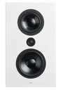 FR-1 Loudspeaker Matte White (Grey)