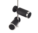 ICARUS MULTICEILING Metal parts in POLISHED 316L Steel