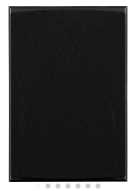 InRoom Silver MiniMonitor (painted finish)