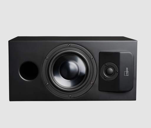 [LYN-CS-1 Full Range Speaker Matte Black] CS-1 Full Range Speaker Matte Black