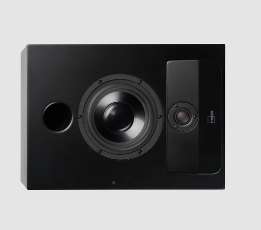 [LYN-CS-2 Full Range Speaker Matte Black] CS-2 Full Range Speaker Matte Black