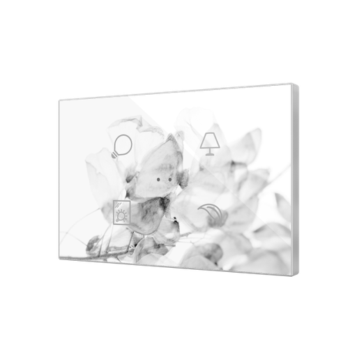 [ZEN-ZVIFXLX4] ZVIFXLX4