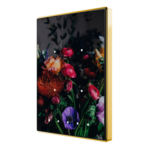 [ZEN-ZVI-TMDP4-G] ZVI-TMDP4-G