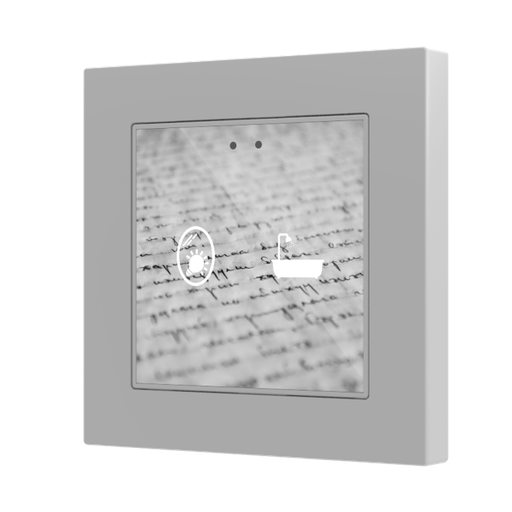 [ZEN-ZVIF55X2V2] ZVIF55X2V2