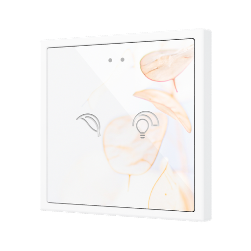 [ZEN-ZVIF70X2] ZVIF70X2