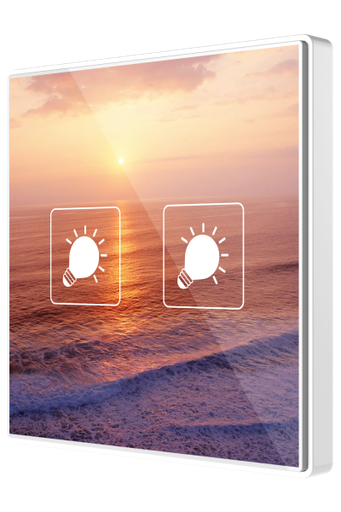 [ZEN-ZVI-SQTMD2-CUS] ZVI-SQTMD2-CUS