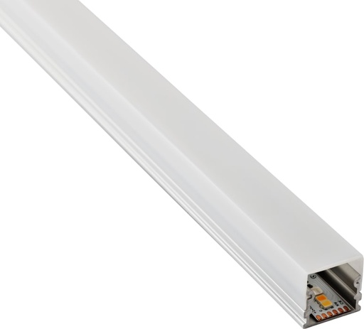 [C4-LEEL5-U-3F] C4-LEEL5-U-3F